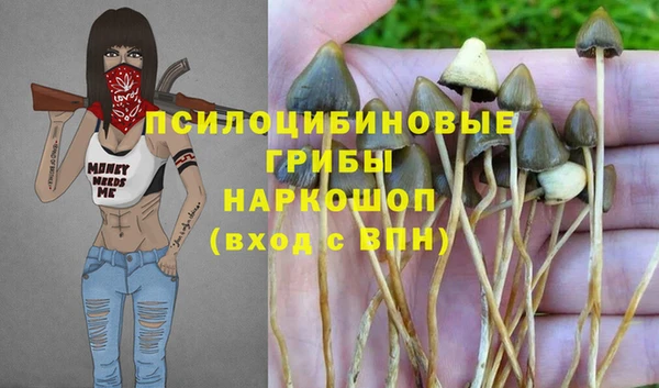 винт Алексин