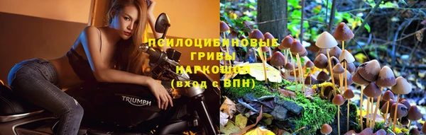 винт Алексин