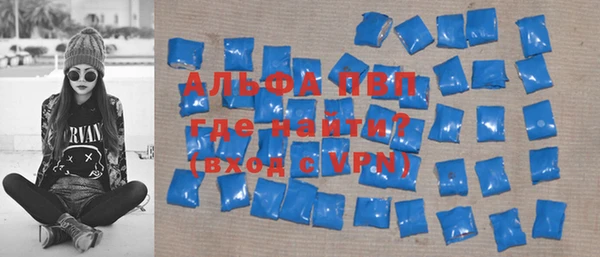дмт Пересвет