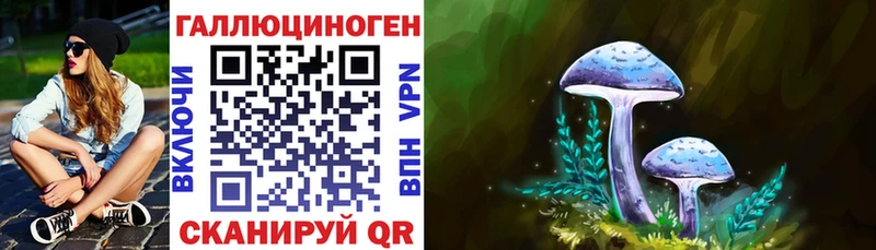 Псилоцибиновые грибы прущие грибы  Купить  Всеволожск 